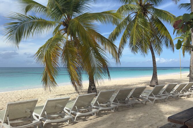 PRIVATE VIP tour Saona Island with Snorkeling, Starfish, Turtles - Who will enjoy this day most