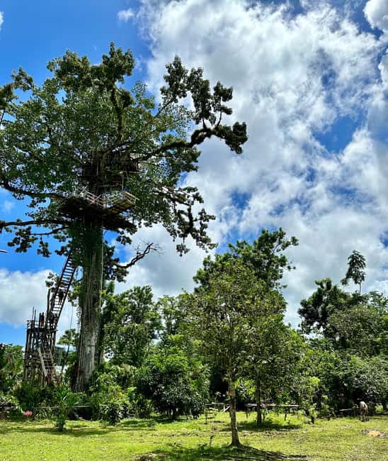 Punta Cana: 3-in-1 Adventure Haitises Park Waterfall Montaña - Should you book the Punta Cana 3-in-1 adventure?