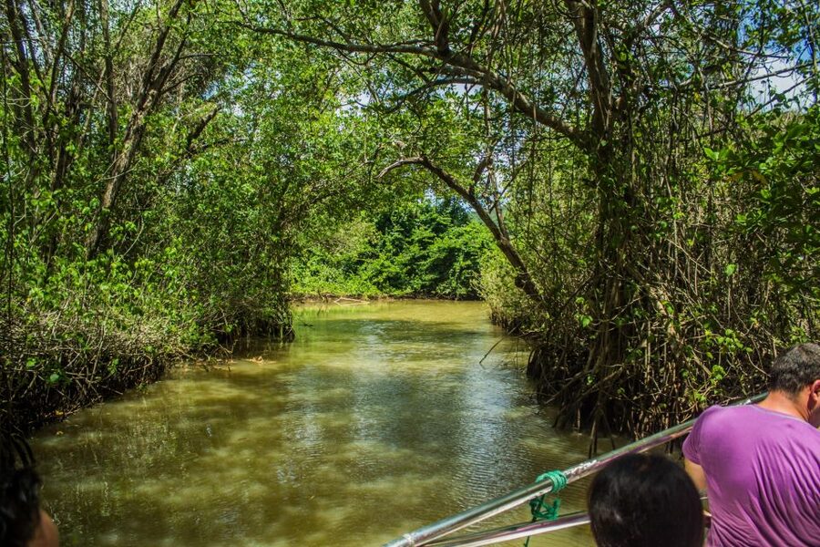 Punta Cana: 3-in-1 Adventure Haitises Park Waterfall Montaña - The bus rides are part of the bargain