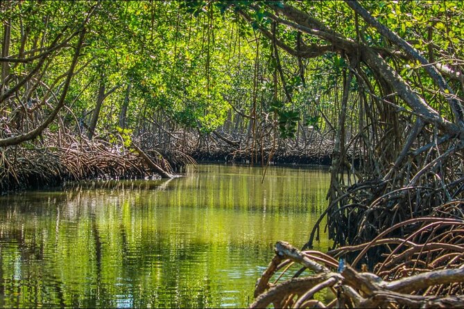 Punta Cana 3in1 Adventure: Los Haitises Park, Waterfall & Montaña - What to pack for the 6:00 a.m. start