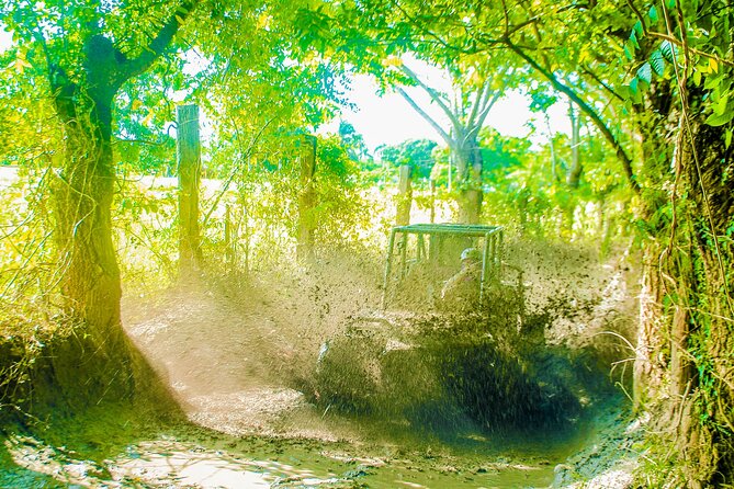 Punta Cana 4 Hours Buggy Tour Cave Macao Beach Free Pick Up - Down into Cueva Taína at Los Hoyos del Salado