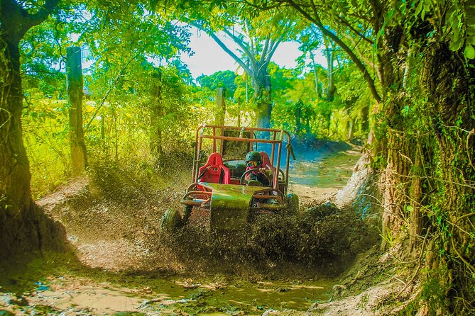 Punta Cana 4 Hours Buggy Tour Cave Macao Beach Free Pick Up - Who should book this Macao adventure?