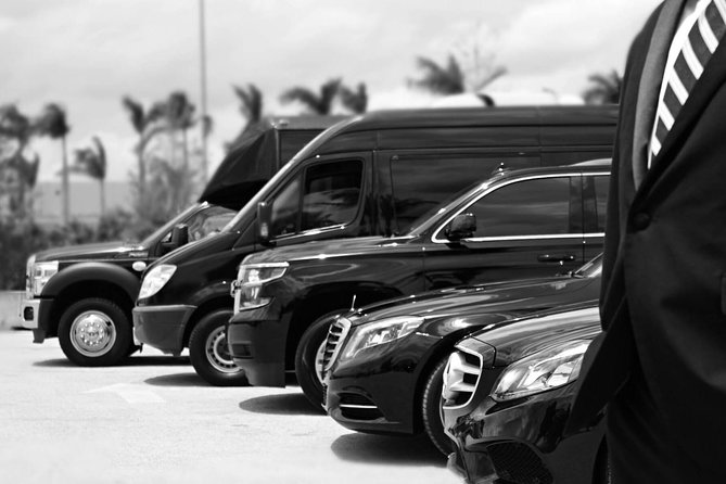 Punta Cana Airport Pick Up - Hotel Transportation Service - Key points to know before you book