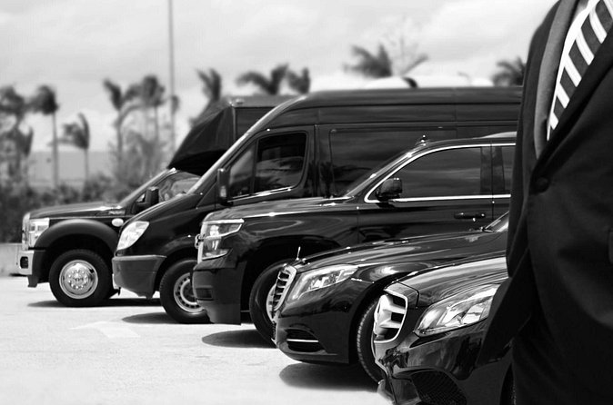 Punta Cana Airport Pick Up - Hotel Transportation Service - What the service reviews tell me about the ride
