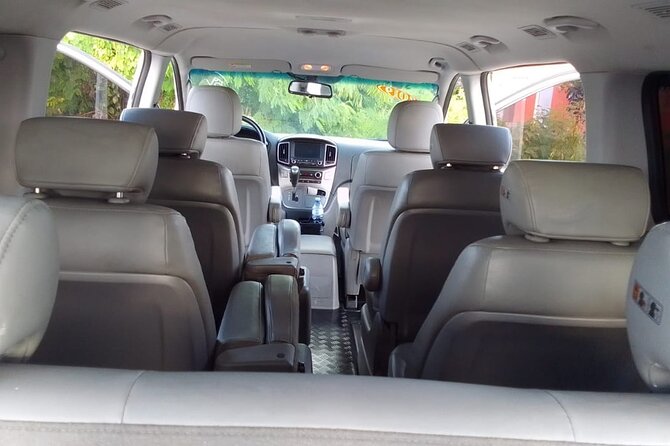 Punta Cana Airport PUJ Private Transfer to Hotels - Meeting your driver after you exit the terminal