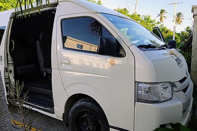 Punta Cana Airport Shuttle to or from Airport - Flight tracking is useful, but only with complete details