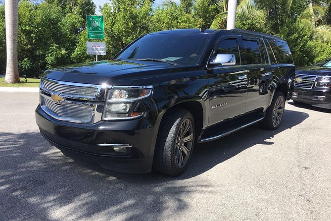 Punta Cana Airport to Punta Cana Hotels (up to 35 km) - Meeting your driver at Punta Cana Airport