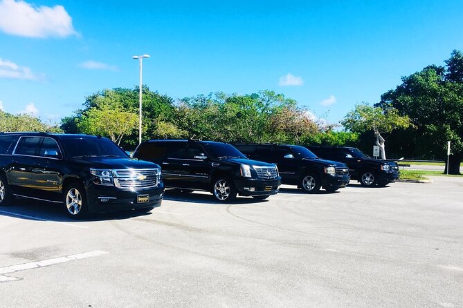 Punta Cana Airport Transfer Bavaro Suburban Trip - What the airport meeting is really like