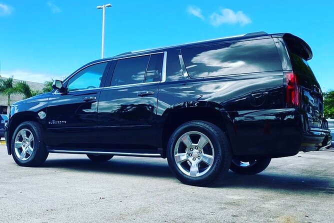 Punta Cana Airport Transfer Bavaro Suburban Trip - Comfort, privacy, and the driver