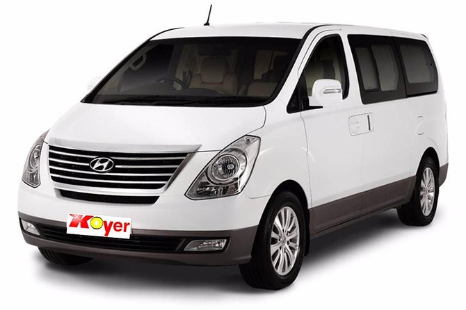 Punta Cana Airport Transfer Service - Staff Coordination and Multilingual Support