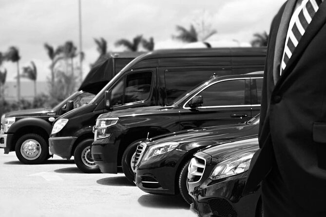 Punta Cana Airport Transfers - Why flight monitoring matters after landing