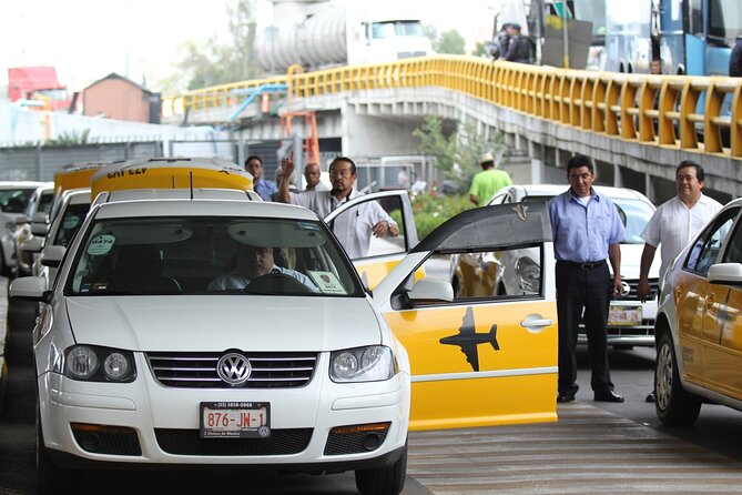 Punta Cana Airport Transfers - What the driver experience adds