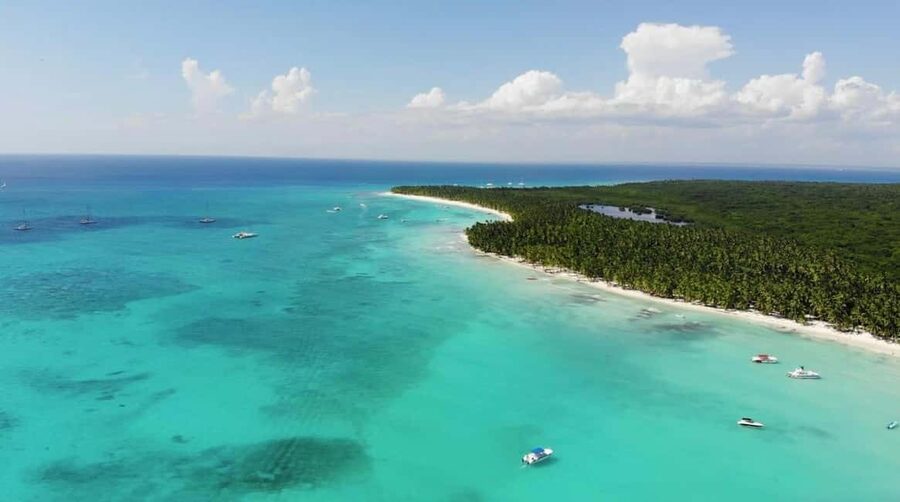Punta Cana: All Inclusive Saona Island Experience - Saona Island’s beaches, mangroves, and reefs