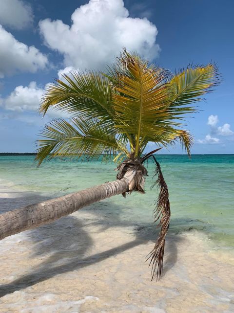 Punta Cana: All Inclusive Saona Island Experience - Dominican buffet and the midday pause