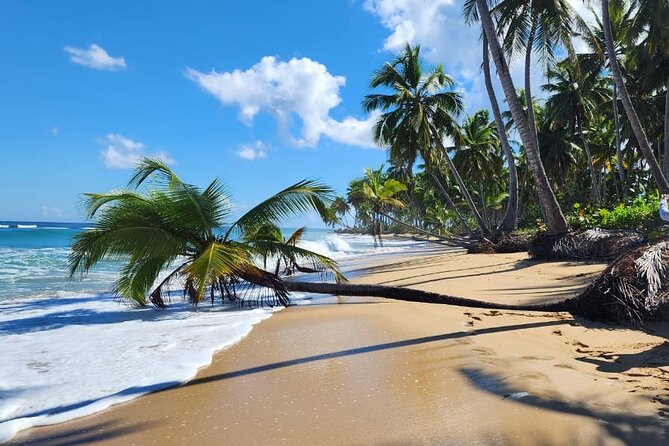Punta Cana: Amazing ATV Adventure Private Road & Beach W/ PickUp - The cave stop and quick swim