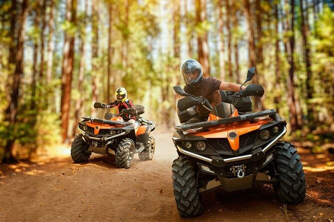 Punta Cana: Amazing ATV Adventure Private Road & Beach W/ PickUp - What the dirt-road ride is really like