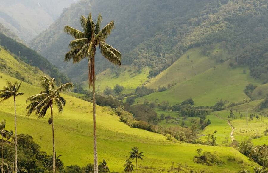 Punta Cana: Anamaya Mountains Walking Tour with Tasting - The ride inland and arrival at the ranch