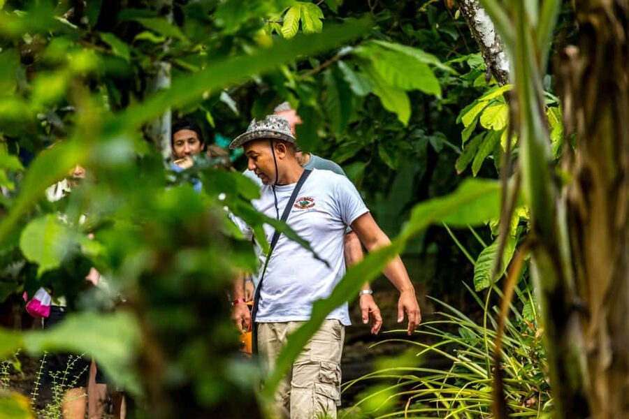 Punta Cana: Anamaya Mountains Walking Tour with Tasting - Farm-to-table tasting in the Dominican countryside