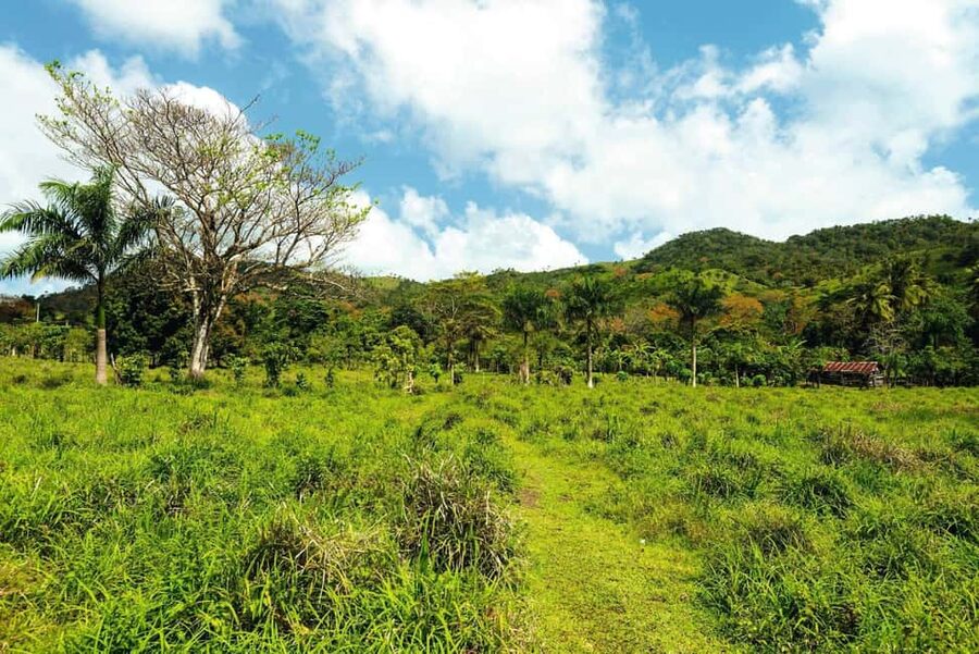 Punta Cana: Anamaya Mountains Walking Tour with Tasting - How much walking should you expect?