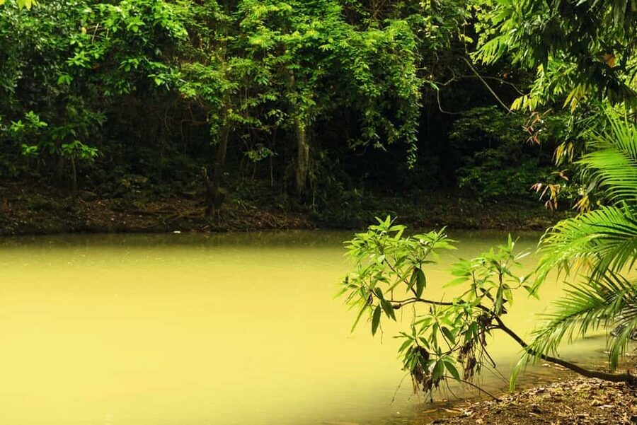 Punta Cana: Anamaya Mountains Walking Tour with Tasting - Is $49 a fair price?