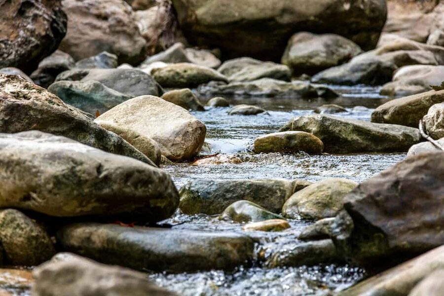 Punta Cana: Anamaya Mountains Walking Tour with Tasting - Who will enjoy this outing most?