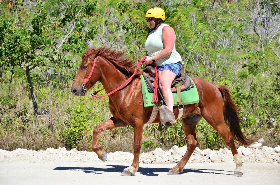 Punta Cana: Bávaro Adventure Park Horse Riding & Waterfalls - The photo rules deserve your attention