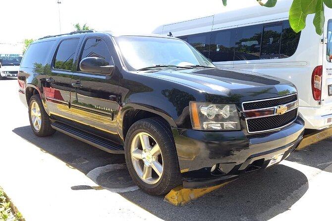 Punta Cana & Bávaro Private Transportation - Local insight, culture, and what to ask about