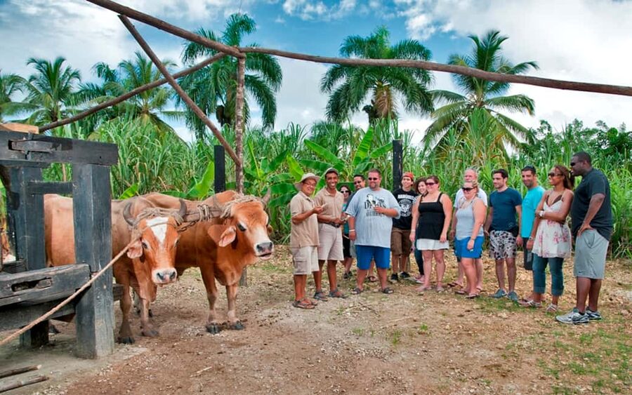 Punta Cana: Bavaro Runners Safari Tour - Leaving Punta Cana’s resorts behind
