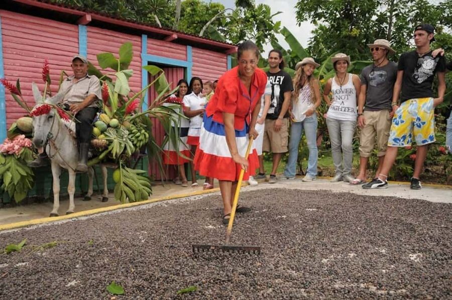Punta Cana: Bavaro Runners Safari Tour - Sugarcane, oxen, and the road to rum