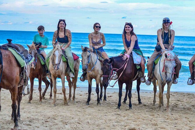 Punta Cana Beach Horseback Ride Paradise Coast Experience - Key Points to Know Before You Ride
