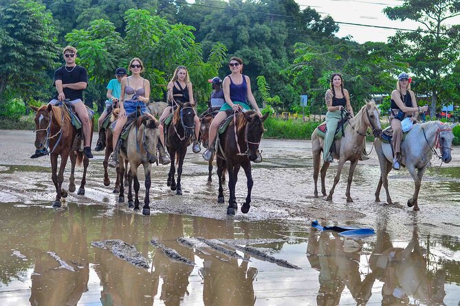 Punta Cana Beach Horseback Ride Paradise Coast Experience - Reaching the Quiet Shoreline