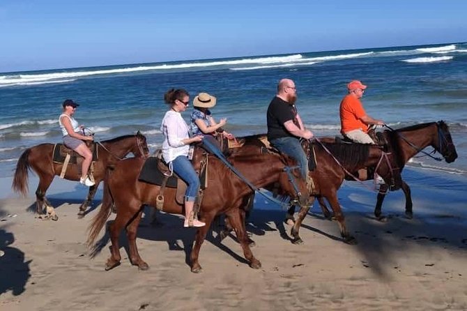 Punta Cana Beach Horseback Riding - Safety, comfort, and who should book