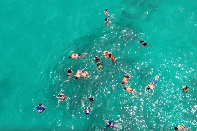 Punta Cana Boat Party Experience with Snorkeling & Natural Pool - Who Will Enjoy This Most?