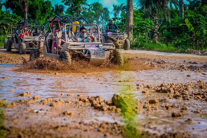 Punta cana Boogie into the Jungle with Coffee and Chocolate Taste - Coffee, cocoa, tobacco, and Dominican farm products
