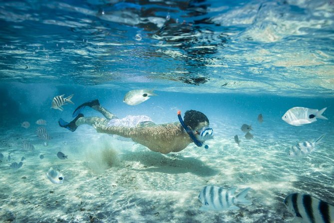 Punta Cana Booze Cruise with Snorkeling, Natural Pool & Open Bar - Key points at a glance