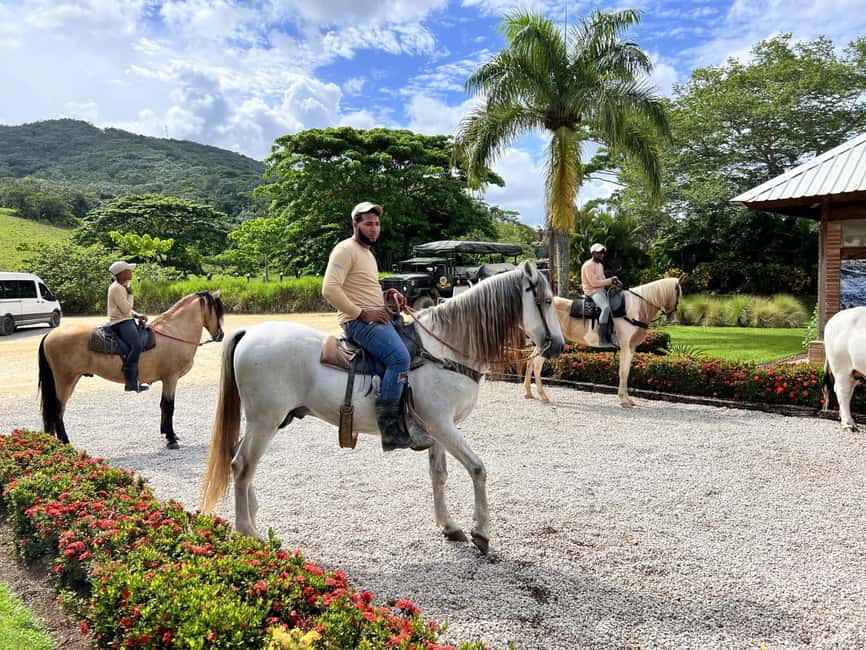 Punta Cana: Buggy and Zipline Adventure at La Hacienda - Seven La Hacienda activities under one ticket