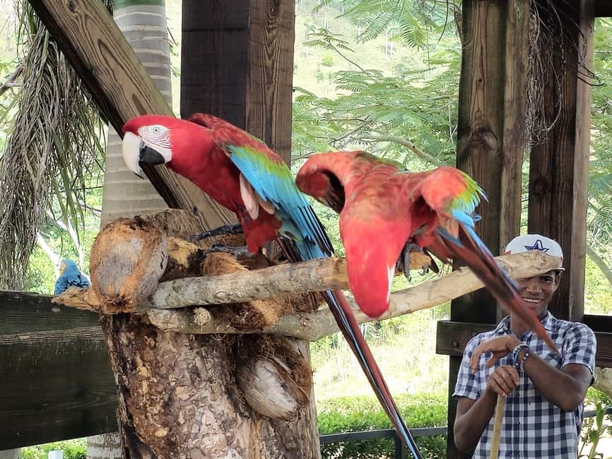 Punta Cana: Buggy and Zipline Adventure at La Hacienda - Extreme buggies on a private circuit