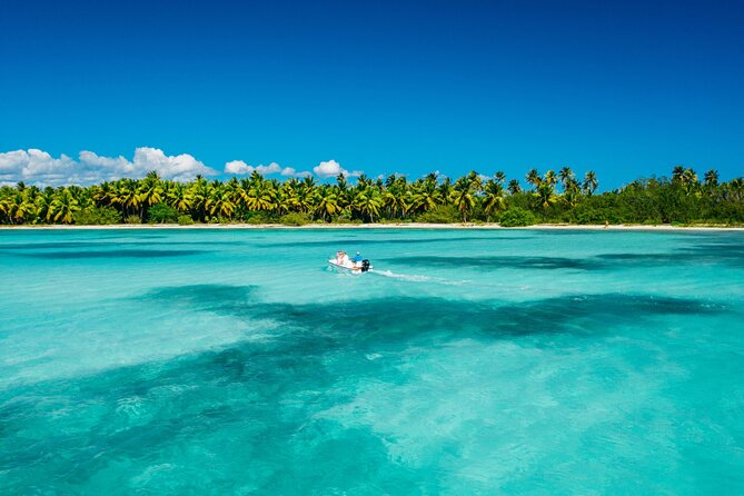 Punta Cana Catalina Island Catamaran Tour Package Deal - Key points to know before booking