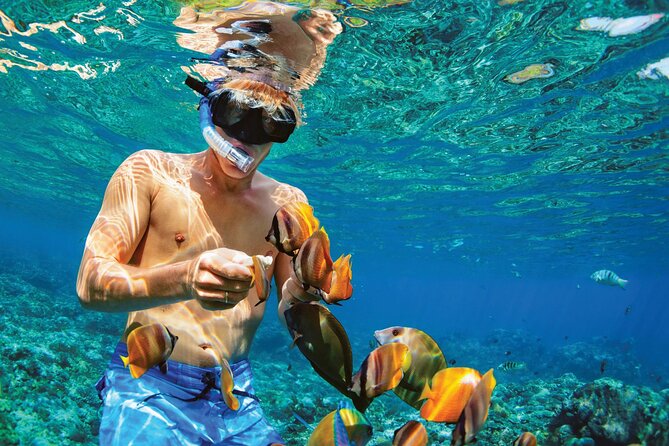 Punta Cana Catalina Island Catamaran Tour Package Deal - Boarding the catamaran in La Romana