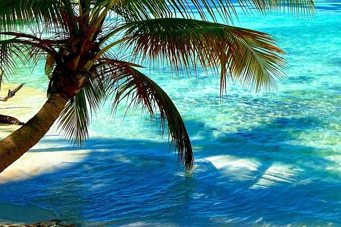 Punta Cana Catalina Island Catamaran Tour Package Deal - Snorkeling at The Wall