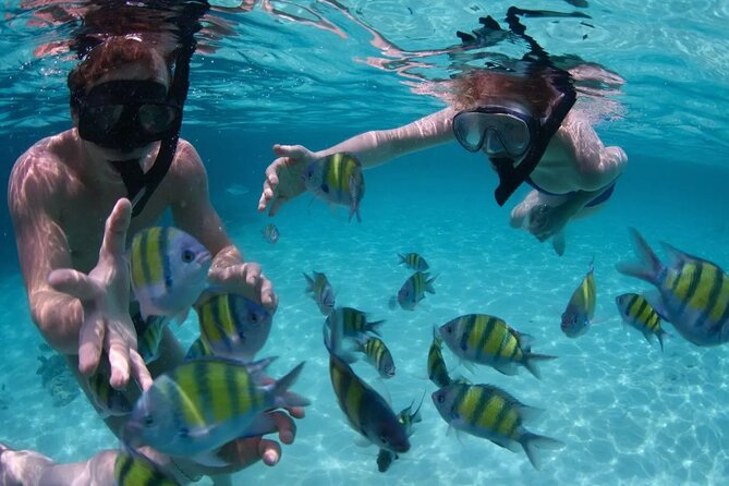 Punta Cana Catalina Island Catamaran Tour Package Deal - Who will enjoy this Catalina Island day?