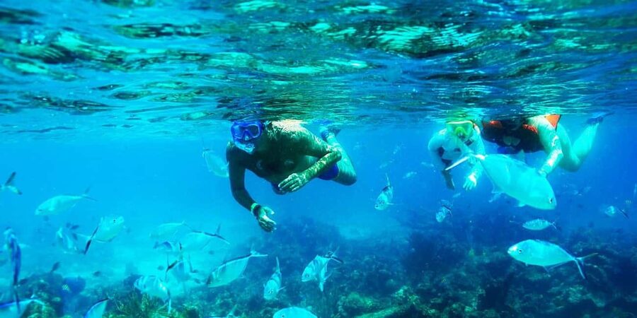 Punta Cana: Catalina Island Snorkeling Trip with Lunch - Buffet lunch, with realistic expectations