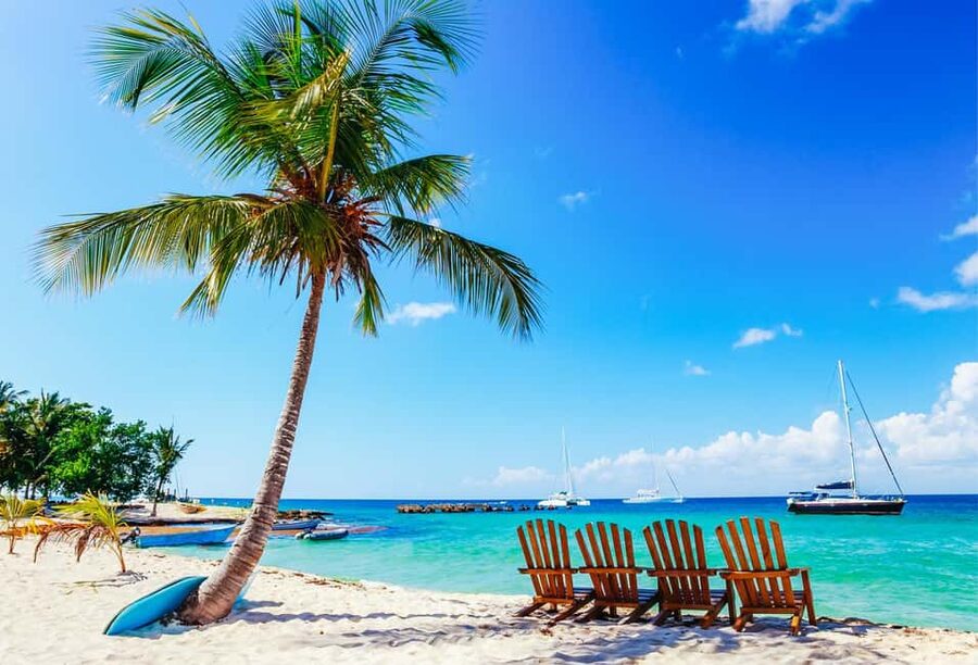 Punta Cana: Catamaran Boat to Saona Island with Buffet Lunch - Key points at a glance