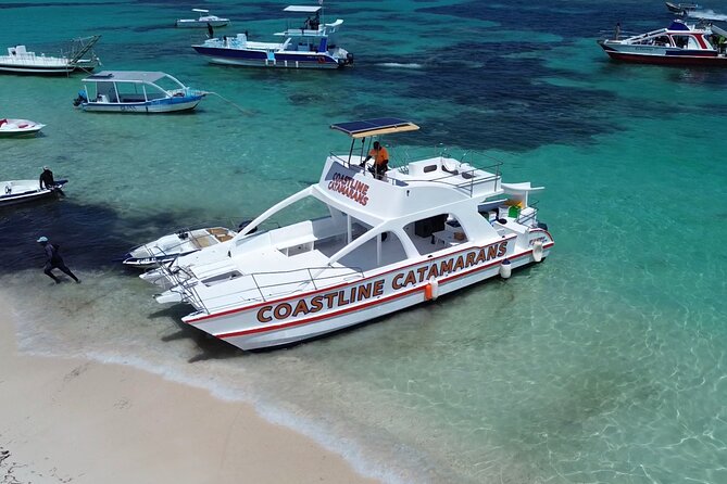 Punta Cana: Catamaran Tour, Reef Snorkeling and Unlimited Drinks! - The private beach and sandbar stop