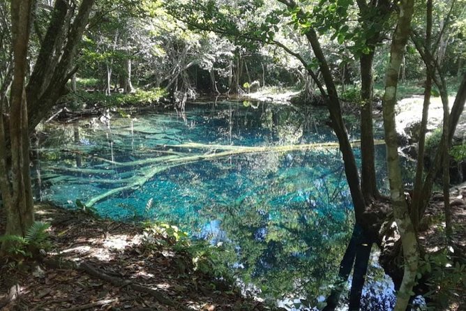 Punta Cana Cenote Hoyo Claro Hiking Tour + Juanillo Beach - The shopping alternative at BlueMall and beyond