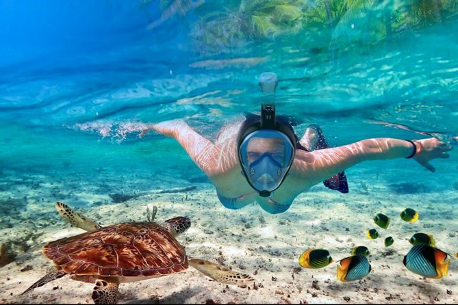 Punta Cana Combo Tour: Snorkeling, Catamaran Cruise & Parasailing - Snorkeling near Bavaro Beach