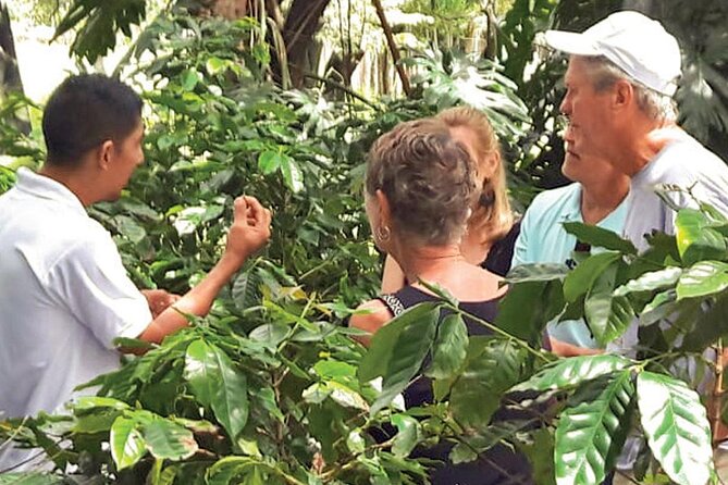 Punta Cana: Cultural half-day tours in the Dominican Republic - The Basilica of Our Lady of Altagracia