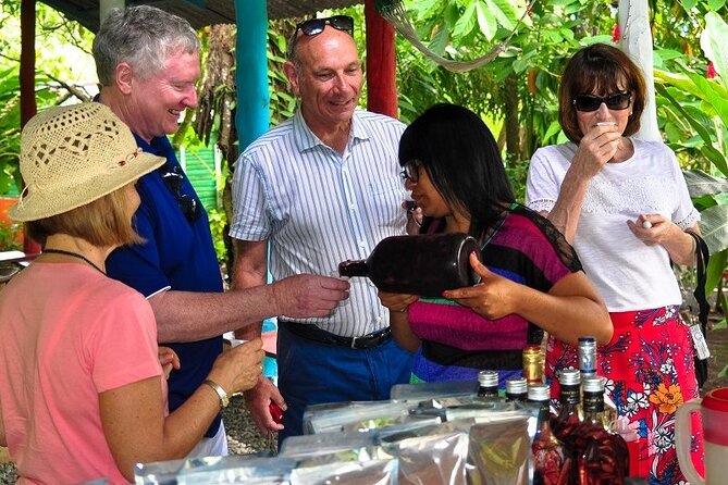 Punta Cana: Cultural half-day tours in the Dominican Republic - Water, a natural slide, and lunch at Anamuya
