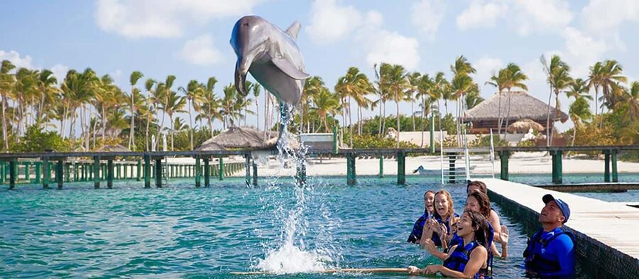 Punta Cana Dolphin Adventure: 40-Minute Interaction - Should You Book the Punta Cana Dolphin Adventure?