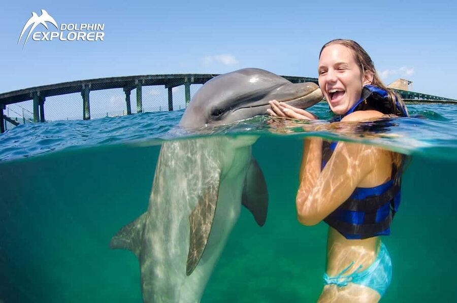 Punta Cana Dolphin Adventure: 40-Minute Interaction - Forty Minutes With One Dolphin